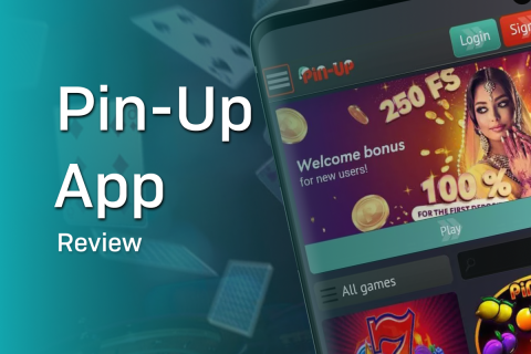 General information about the Pin-up app